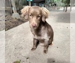 Image preview for Ad Listing. Nickname: Rita