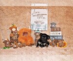 Small Photo #53 Chihuahua Puppy For Sale in CHARLESTON, AR, USA