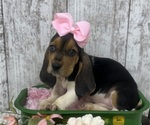 Image preview for Ad Listing. Nickname: Delilah