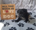 Small #2 Yo-Chon