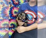 Image preview for Ad Listing. Nickname: Dalia