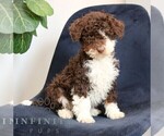 Image preview for Ad Listing. Nickname: Kevin