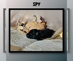 Small #4 German Shepherd Dog
