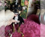 Image preview for Ad Listing. Nickname: City Girl