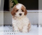 Image preview for Ad Listing. Nickname: Leah