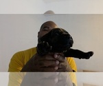 Puppy Puppy 2 Cane Corso