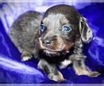 Image preview for Ad Listing. Nickname: Helen