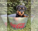 Image preview for Ad Listing. Nickname: Gage