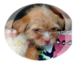 Small #2 Breeder Profile image