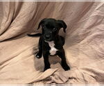 Small #3 Breeder Profile image