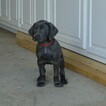 Small Photo #12 Vizsla-Weimaraner Mix Puppy For Sale in MILLBROOK, AL, USA