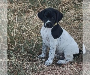 Medium Pointer