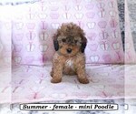 Image preview for Ad Listing. Nickname: Summer
