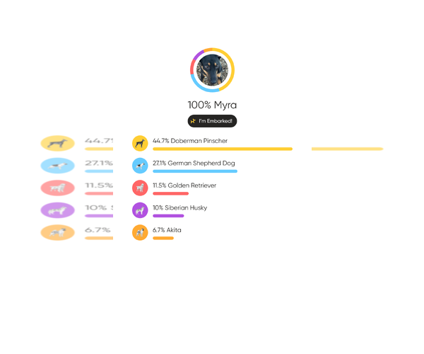 Medium Photo #4 Doberman Pinscher-German Shepherd Dog Mix Puppy For Sale in Aurora, OH, USA