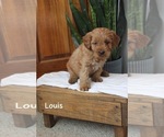 Image preview for Ad Listing. Nickname: Louis
