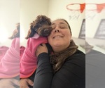Image preview for Ad Listing. Nickname: Mirabelle