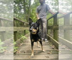 Small #1 Breeder Profile image