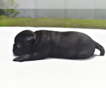 Small #3 Pug