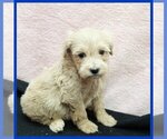 Image preview for Ad Listing. Nickname: Orlando