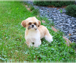 Image preview for Ad Listing. Nickname: Theon