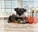 Image preview for Ad Listing. Nickname: Sophie