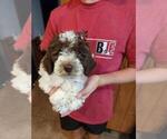 Image preview for Ad Listing. Nickname: Daisy