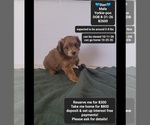 Image preview for Ad Listing. Nickname: Stan