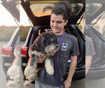 Small #1 Maltese Mix