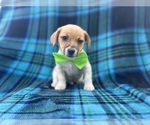 Image preview for Ad Listing. Nickname: Arrow