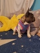 Small Photo #3 French Bulldog Puppy For Sale in KIRKLAND, WA, USA