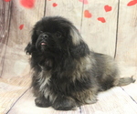 Image preview for Ad Listing. Nickname: gabe