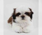 Image preview for Ad Listing. Nickname: Skye