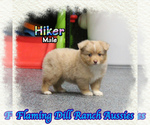 Image preview for Ad Listing. Nickname: Hiker