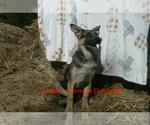 Image preview for Ad Listing. Nickname: Harvest Hayride