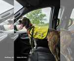 Small #1 Plott Hound Mix