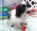 Image preview for Ad Listing. Nickname: Banjo