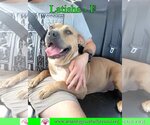 Small #2 Breeder Profile image