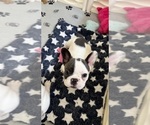 Image preview for Ad Listing. Nickname: Baby Girl