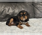 Image preview for Ad Listing. Nickname: Dream