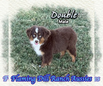 Image preview for Ad Listing. Nickname: Double