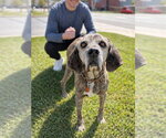 Small #11 Mutt