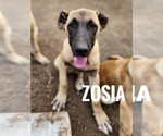 Image preview for Ad Listing. Nickname: Zosia