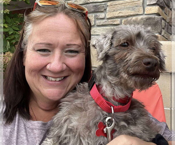 Medium Photo #4 Havanese Puppy For Sale in Cuba, NY, USA