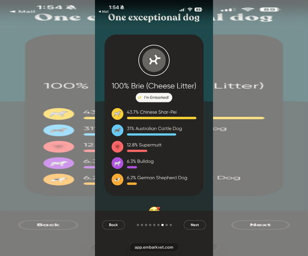 Medium Photo #4 Mutt Puppy For Sale in New London, WI, USA