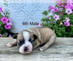 Image preview for Ad Listing. Nickname: 6th Male