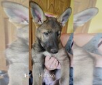 Image preview for Ad Listing. Nickname: Himiko