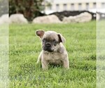 Image preview for Ad Listing. Nickname: Tyler