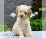 Image preview for Ad Listing. Nickname: Juniper