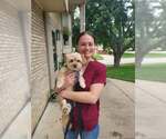 Small #5 Norfolk Terrier Mix