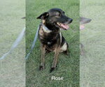 Small #2 Breeder Profile image